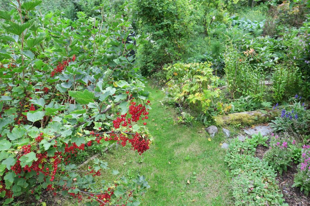 Brigitte'S Bavarian Bed Und Breakfast Millers Landing Ngoại thất bức ảnh